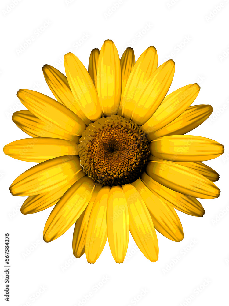 Fototapeta premium Abstract print design with plain base