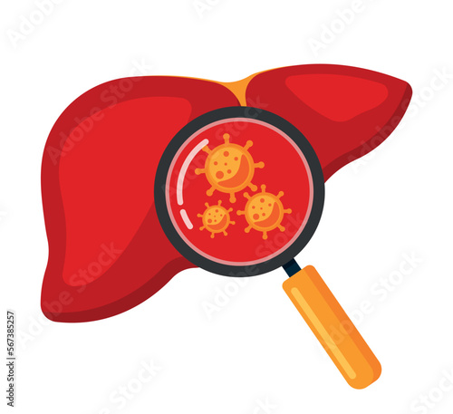 Liver Organ with Magnifying Glass and Virus for Human Anatomy Symbol Vector Illustration