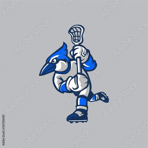 Lacrosse Blue Jay 1