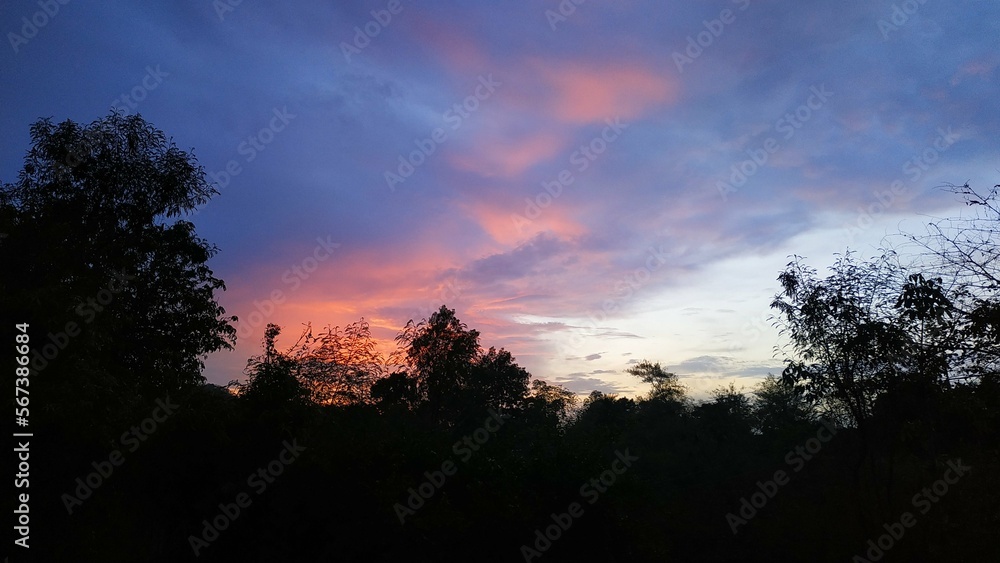 Fototapeta premium Oranges Evening Sky