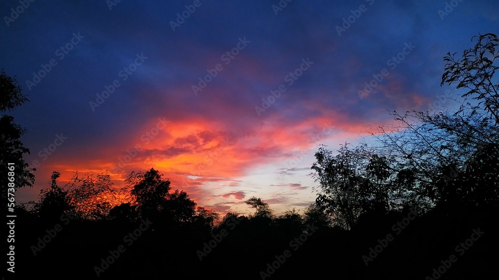Oranges Evening Sky Oranges Evening Sky
