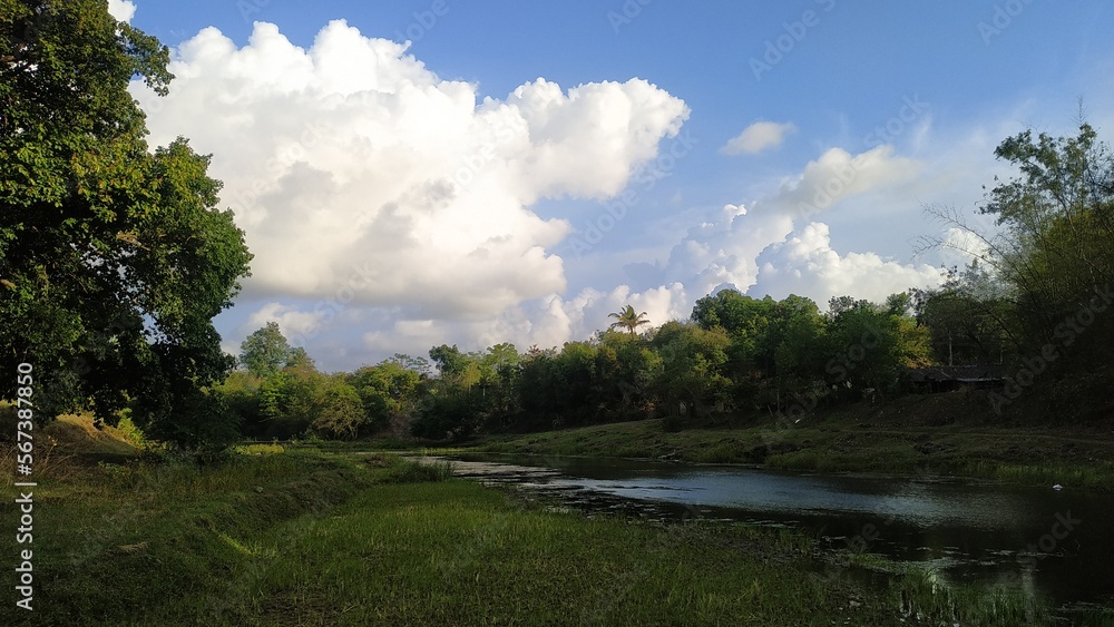 sky, tree, landscape, nature, forest, green, trees, summer, blue, cloud, grass, clouds, mountain, field, meadow, park, day, leaves, hill, countryside, spring, road, sunny, sun, outdoors sky, tree, landscape, nature, forest, green, trees, summer, blue, cloud, grass, clouds, mountain, field, meadow, park, day, leaves, hill, countryside, spring, road, sunny, sun, outdoors