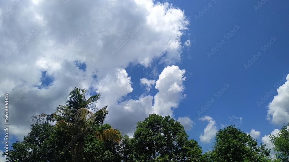 Obraz premium sky with clouds