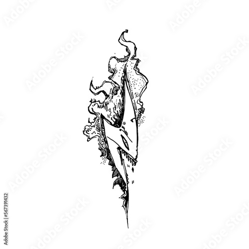 Wallpaper Mural Hand drawn magic illustration with lightning thunderstorm geometric drawing. Graphic art tattoo sign, ready to use. Torontodigital.ca