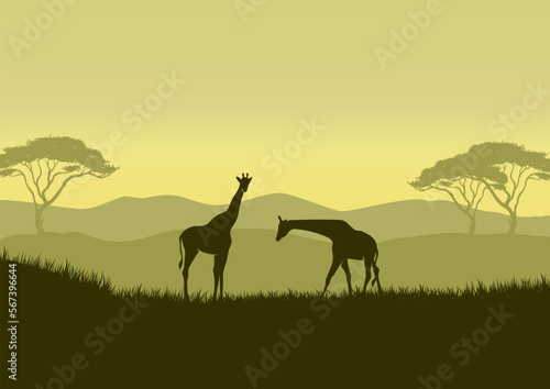 Photography Giraffe silhouettes in savanna landscape vector illustration