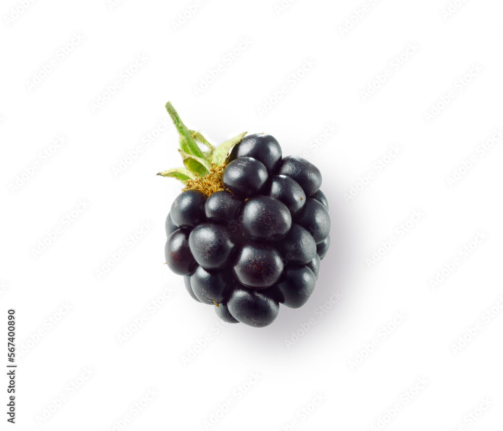 Brombeere_02 Brombeere_02
