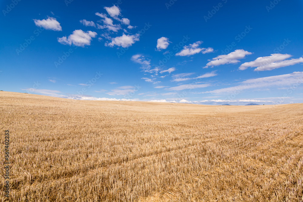 Scenic view of harvested wheat field in Provence against summer dramatic sky