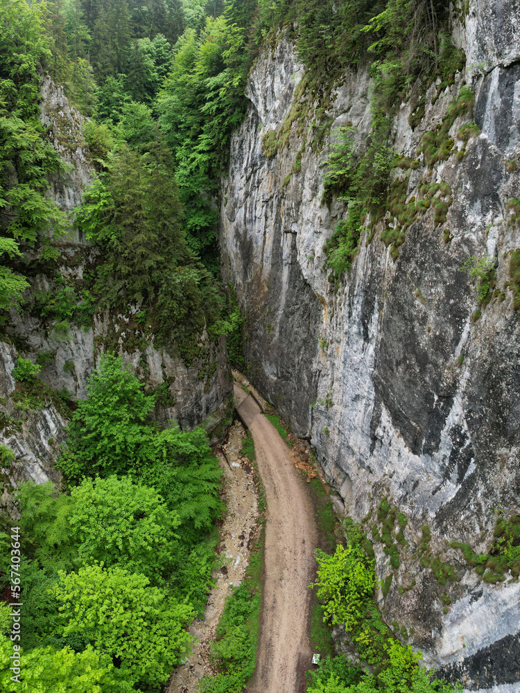 Obraz premium Aerial drone panorama above a narrow canyon sided by vertical, abrupt, steep cliffs. The gorges are located in Carpathia, Romania. Spring season, the tree leaves are bright green. 