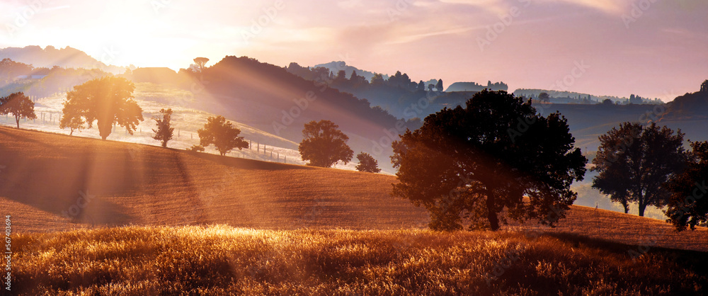 Scenic landscape with trees in the hills against clouds in Tuscany, Italy at sunrise. Wonderful places