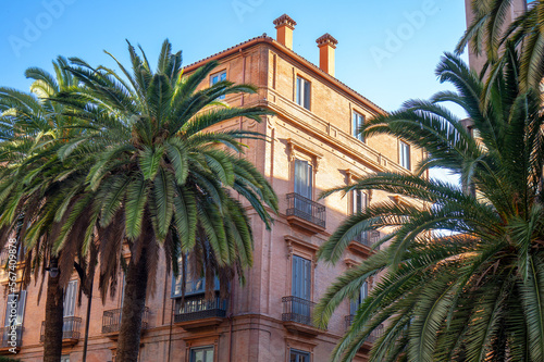 Decorated exteriours residental buildings in Malaga city, Andalusia, Spain with palm trees
