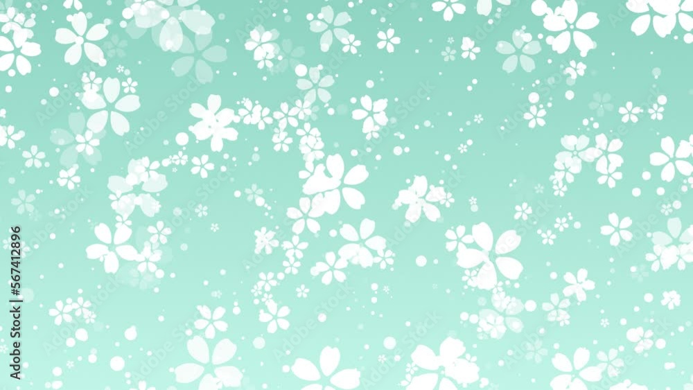 Green spring background. Falling cartoon cherry blossoms. Sakura flowers. Easter. 23,98fps