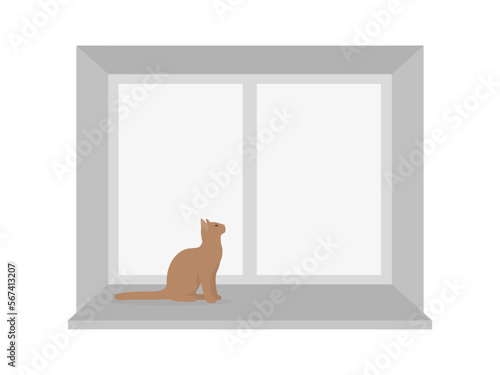 The cat is sitting on the windowsill