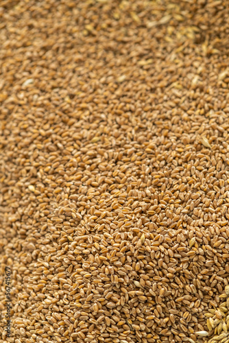 Abstract background from a mixture of cereals