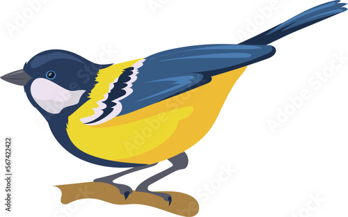 Titmouse sit on tree. Wild nature. Yellow bird