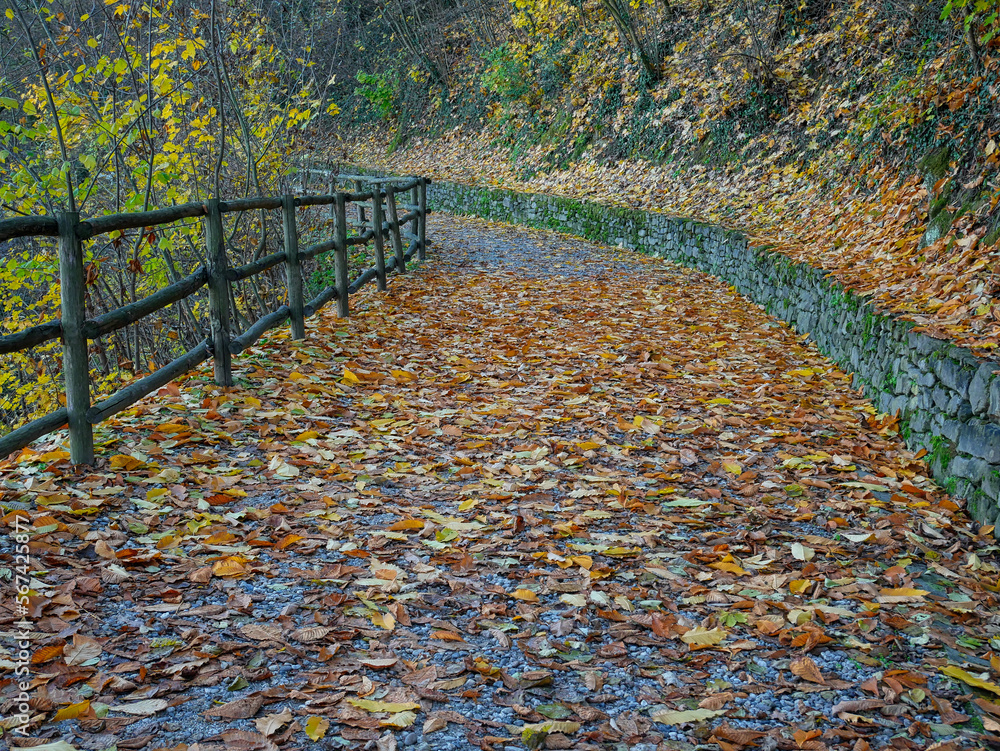 On the paths in autumn around the Crea sanctuary. Piedmont region, Italy. On the paths in autumn around the Crea sanctuary. Piedmont region, Italy.