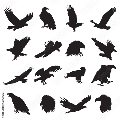 Set of bald eagle silhouette vector illustration