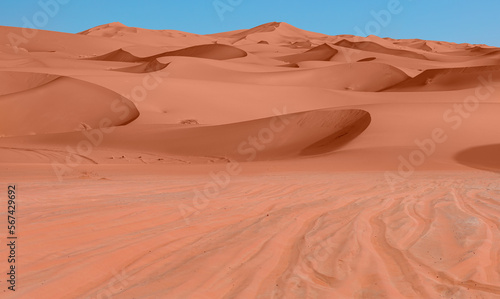 Panoramic view of orange sand dune desert with clear blue sky at Namib desert - Namib Naukluft National Park  Namib desert  Namibia 