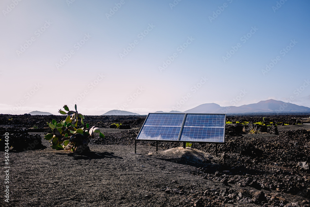 solar panel on a farm