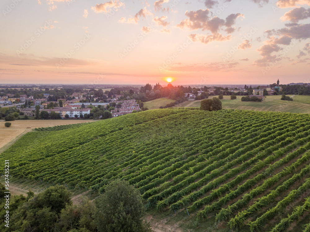 Aerial view of Italian vineyards with the sun rising on the horizon, Emilia-Romagna, Italy, Europe Aerial view of Italian vineyards with the sun rising on the horizon, Emilia-Romagna, Italy, Europe