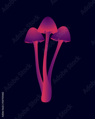 Purple Mushrooms 