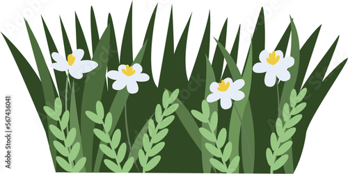 Green grass with flowers vector element