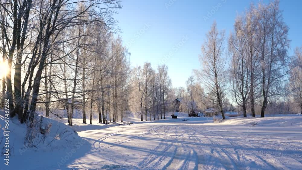Frozen birch trees and small rural village in distance, winter season with bright sun Frozen birch trees and small rural village in distance, winter season with bright sun