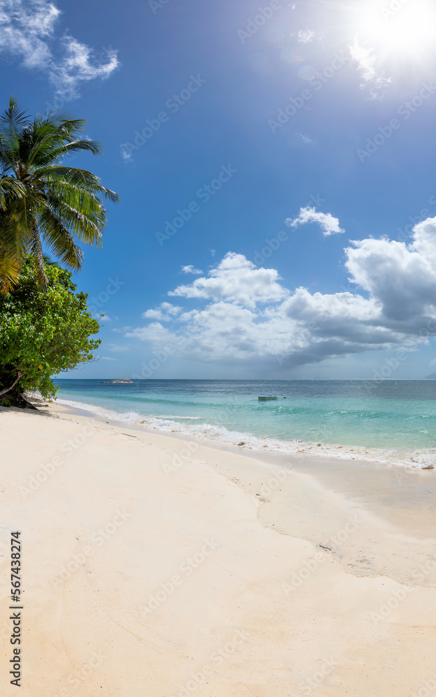 Sunny tropical beach. Summer vacation and tropical beach background concept. 