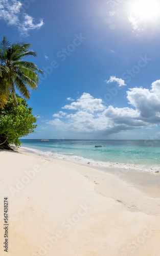 Sunny tropical beach. Summer vacation and tropical beach background concept. 
