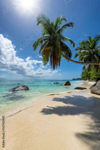 Fotografia The beach on Paradise Island