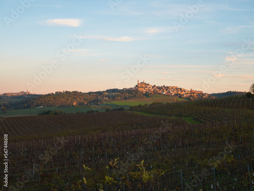 Hills planted with vines in late autumn. Piedmont Region, Italy.