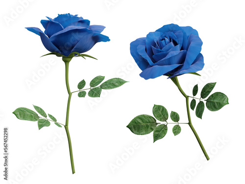 3d blue rose flower

