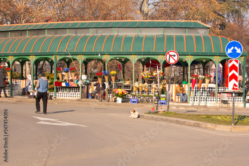 Tbilisi, Georgia - january 18 , 2023: A flower market at the Orbeliani square in the downtown Tbilisi. photo