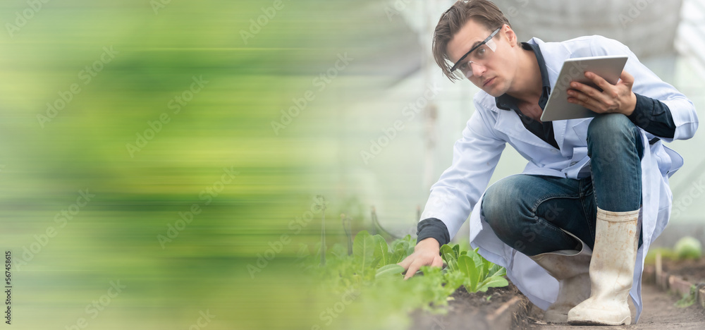 Portrait of handsome agricultural researcher holding tablet while working on research at plantation in industrial greenhouse. Panorama image use for cover design. Portrait of handsome agricultural researcher holding tablet while working on research at plantation in industrial greenhouse. Panorama image use for cover design.