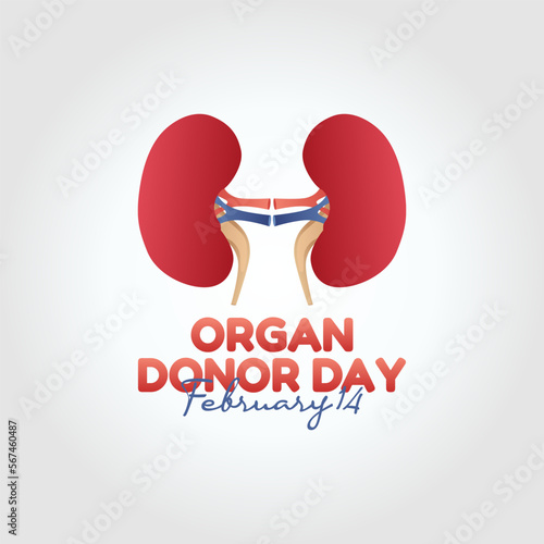 vector graphic of organ donor day good for national organ donor day celebration. flat design. flyer design.flat illustration.