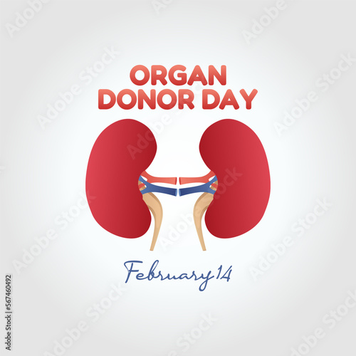 vector graphic of organ donor day good for national organ donor day celebration. flat design. flyer design.flat illustration.