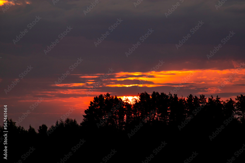 Sun breaks through the clouds. The rays of the sun break through the clouds. Silhouettes of trees against the backdrop of sunrise.