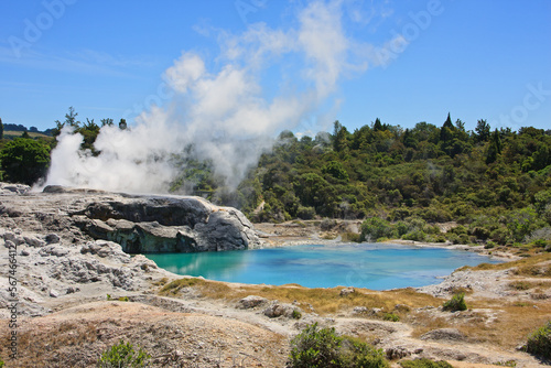 The volcanic hot springs of the Maori village Whakarewarewa in New Zealand