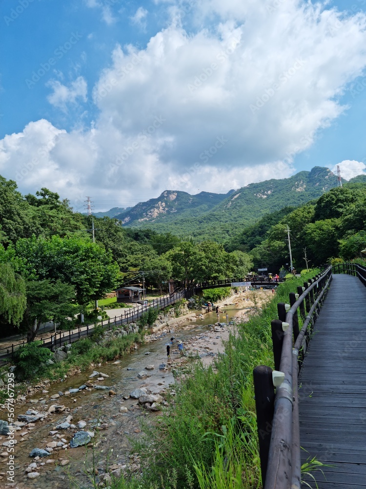 Fototapeta premium bridge in the mountains