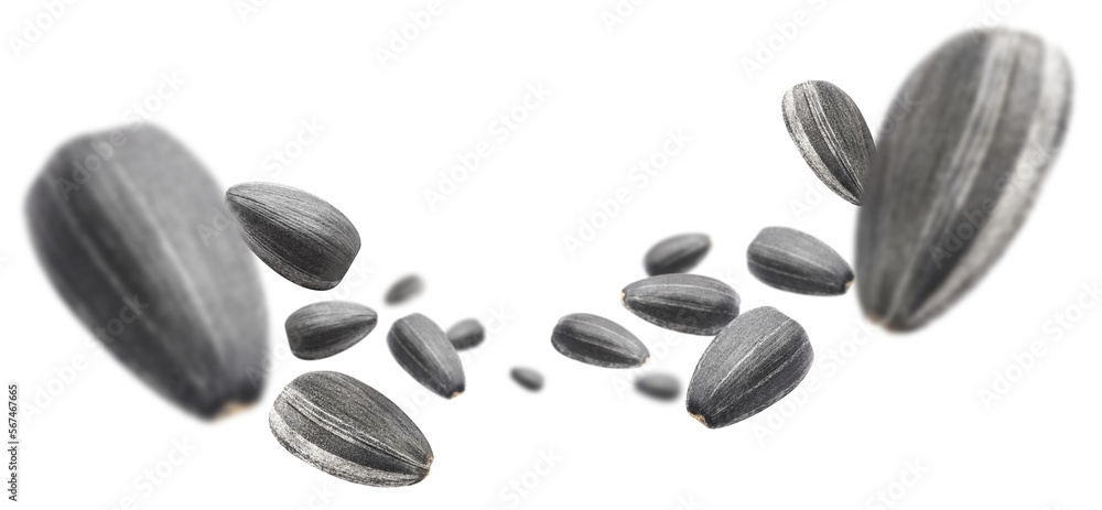 Flying sunflower black seeds cut out Flying sunflower black seeds cut out