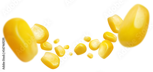Fotografie Flying corn seeds cut out