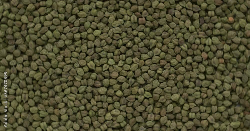 Hara chana - dried green chickpeas background texture. Table spin. Seamless loop. Hara chana - dried green chickpeas background texture. Table spin. Seamless loop.