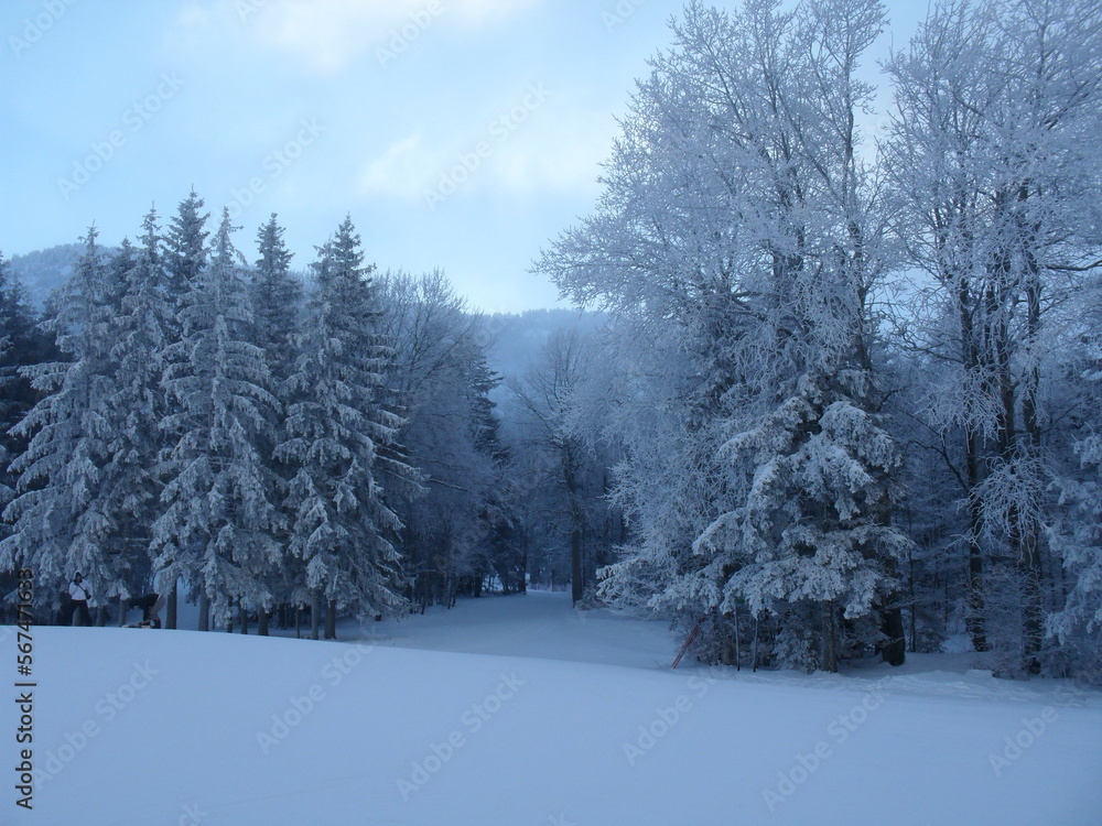 Paysage sous la neige en hiver - Un jour au ski dans une station de sports d'hiver en France - Une bouffée d'oxygène en pleine nature Paysage sous la neige en hiver - Un jour au ski dans une station de sports d'hiver en France - Une bouffée d'oxygène en pleine nature