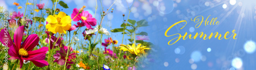 Hello summer background - B...