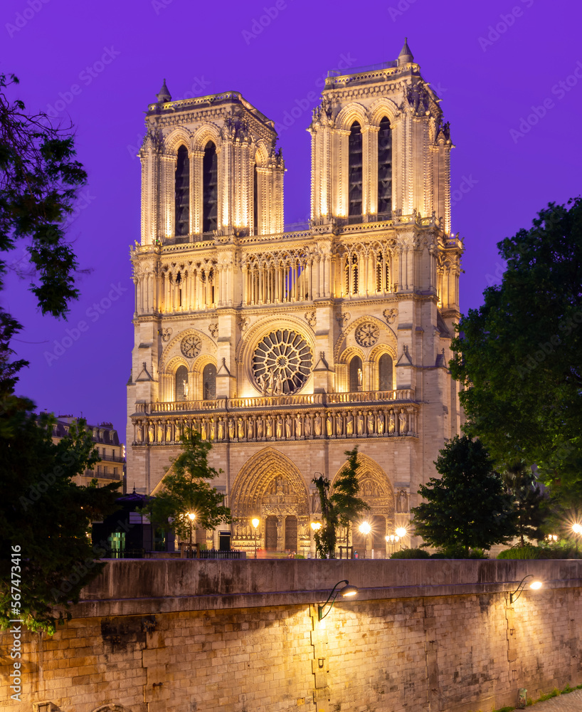 Notre-Dame de Paris cathedral and Cite island embankment at night, France