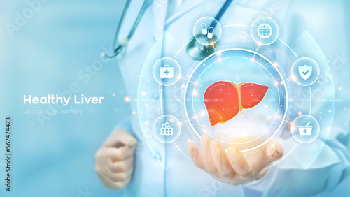 Healthy Liver. Cirrhosis and hepatitis treatment medical concept. Doctor holding in hand the hologram of Human liver and medicine icons network connection on virtual screen. Vector illustration.
