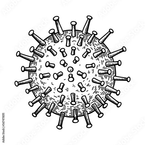 Hand drawn cytomegalovirus isolated on white background. Realistic detailed scientifical vector illustration in sketch stile photo