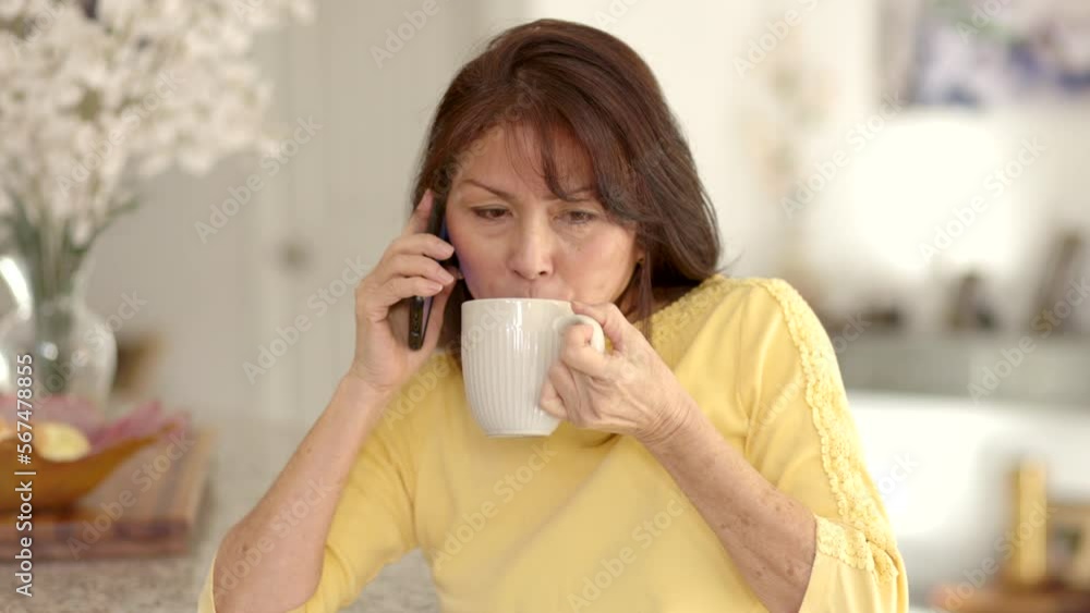 Attractive mature woman relaxing drinking coffee talking on mobile phone sitting in leisure home living room Attractive mature woman relaxing drinking coffee talking on mobile phone sitting in leisure home living room