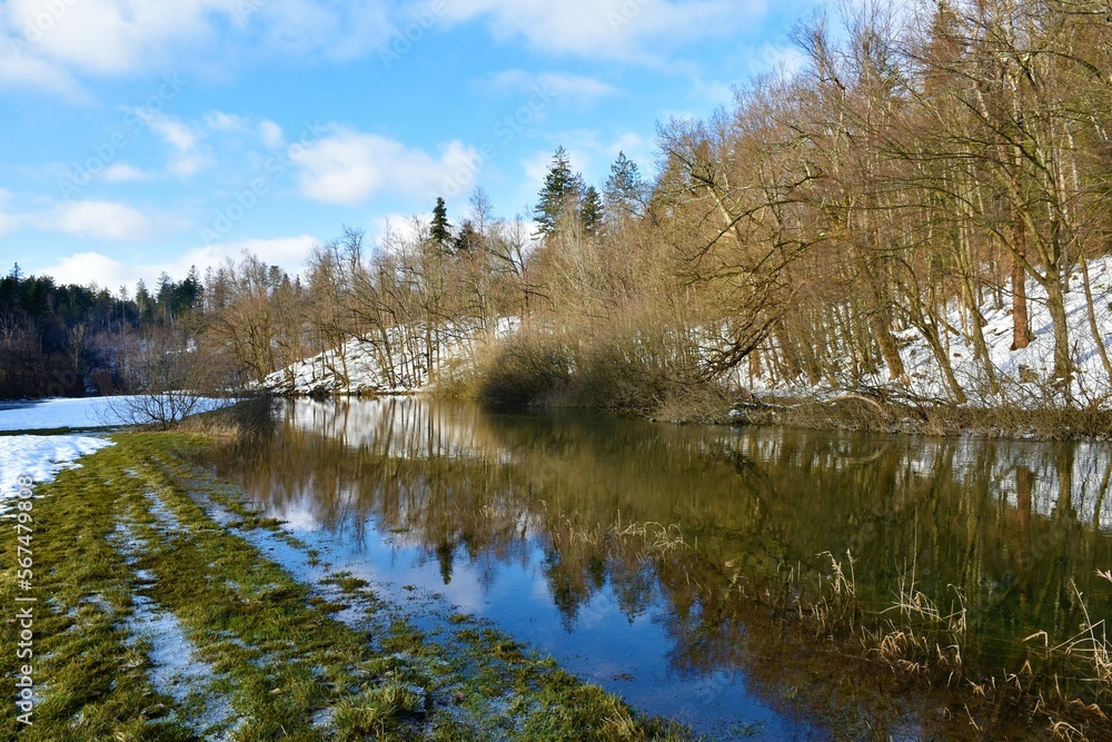 View of Rak river in Rakov Skocjan in winter with a reflection of the forest in the water in Notranjska, Slovenia