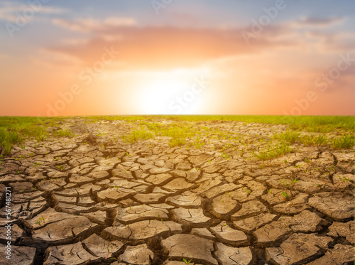 wide dry land in crack at the sunset, natural ecological calamity scene