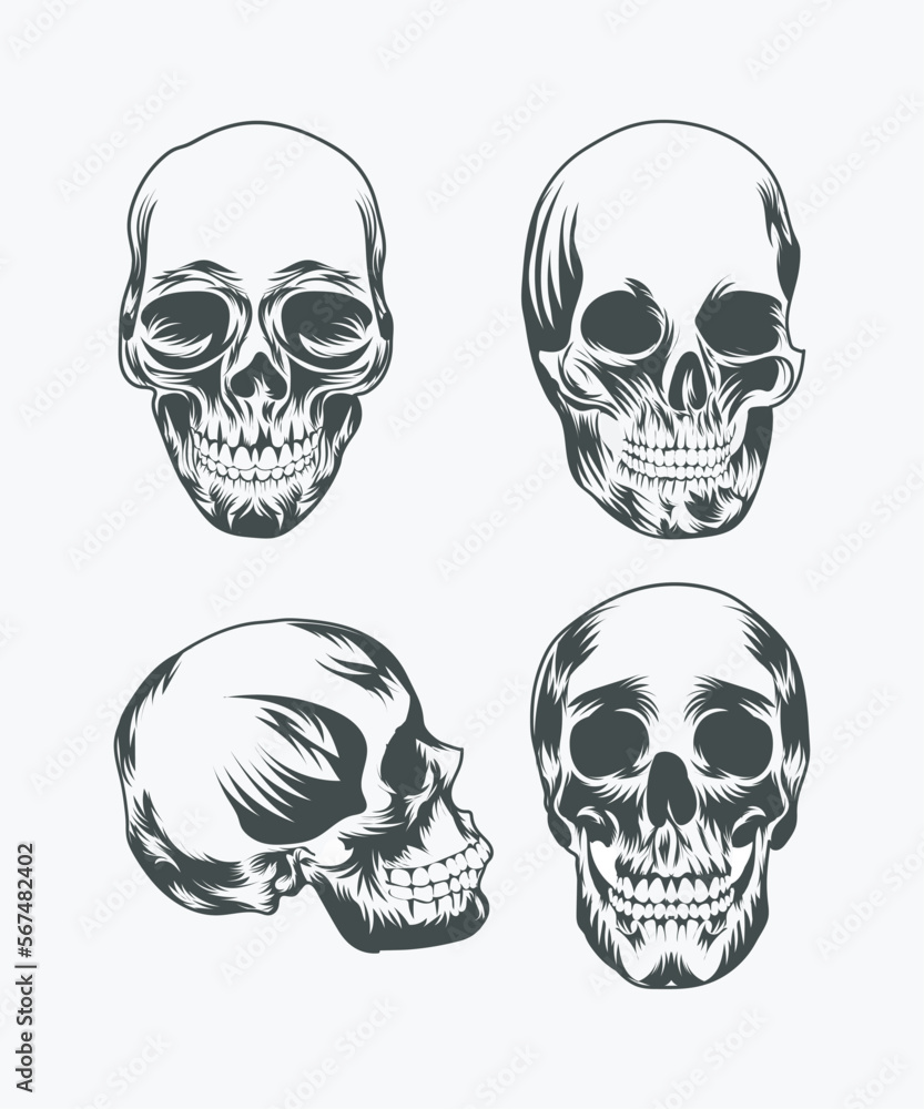 human skull head vector illustration